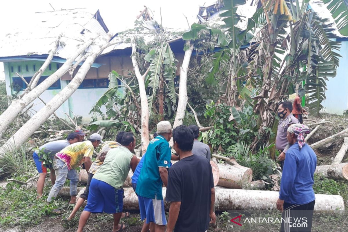 Polres Mukomuko dan warga singkirkan empat pohon tumbang timpa sekolah