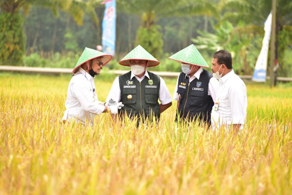 Mentan SYL  terus kawal Gerakan Serap Gabah Petani