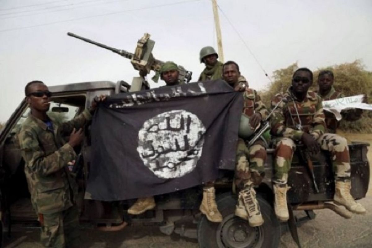 Kelompok Boko Haram akui tembak pesawat tempur Nigeria