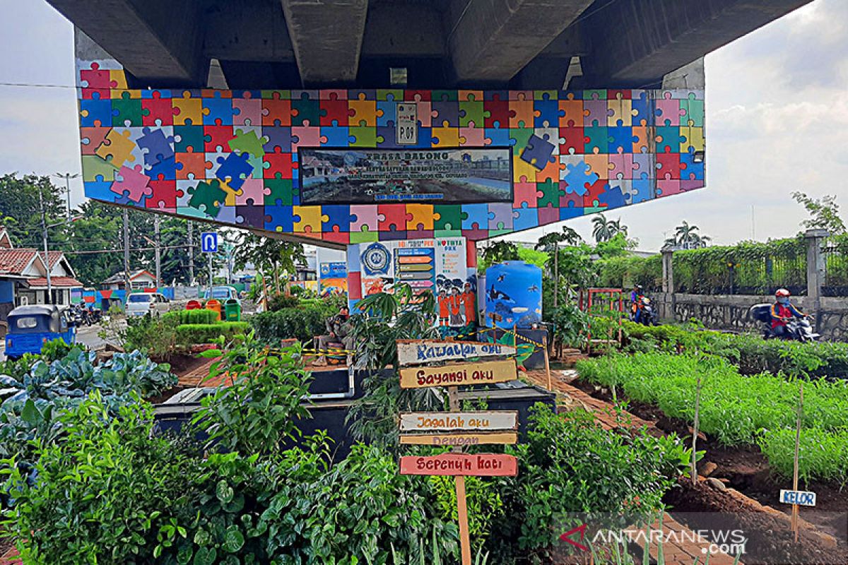 "Urban farming" tak sekedar manfaatkan lahan kosong