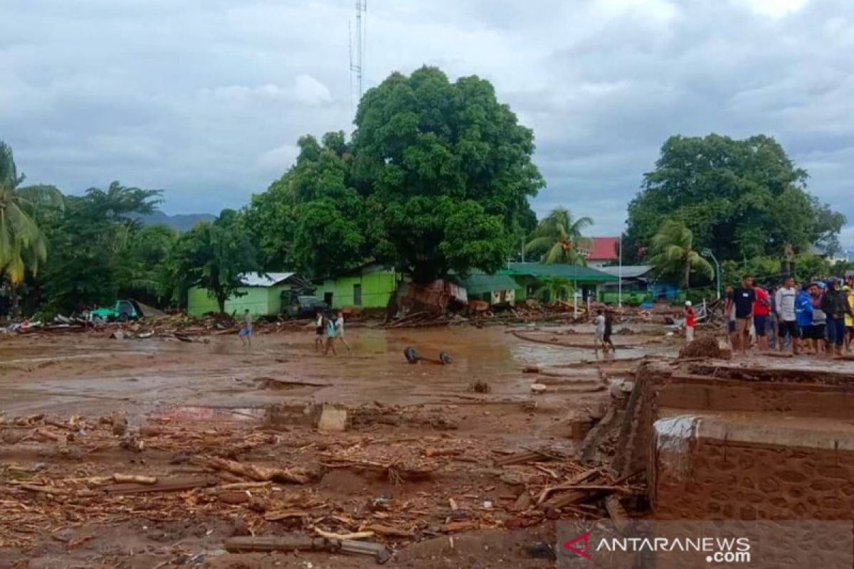 Seroja membawa duka di NTT