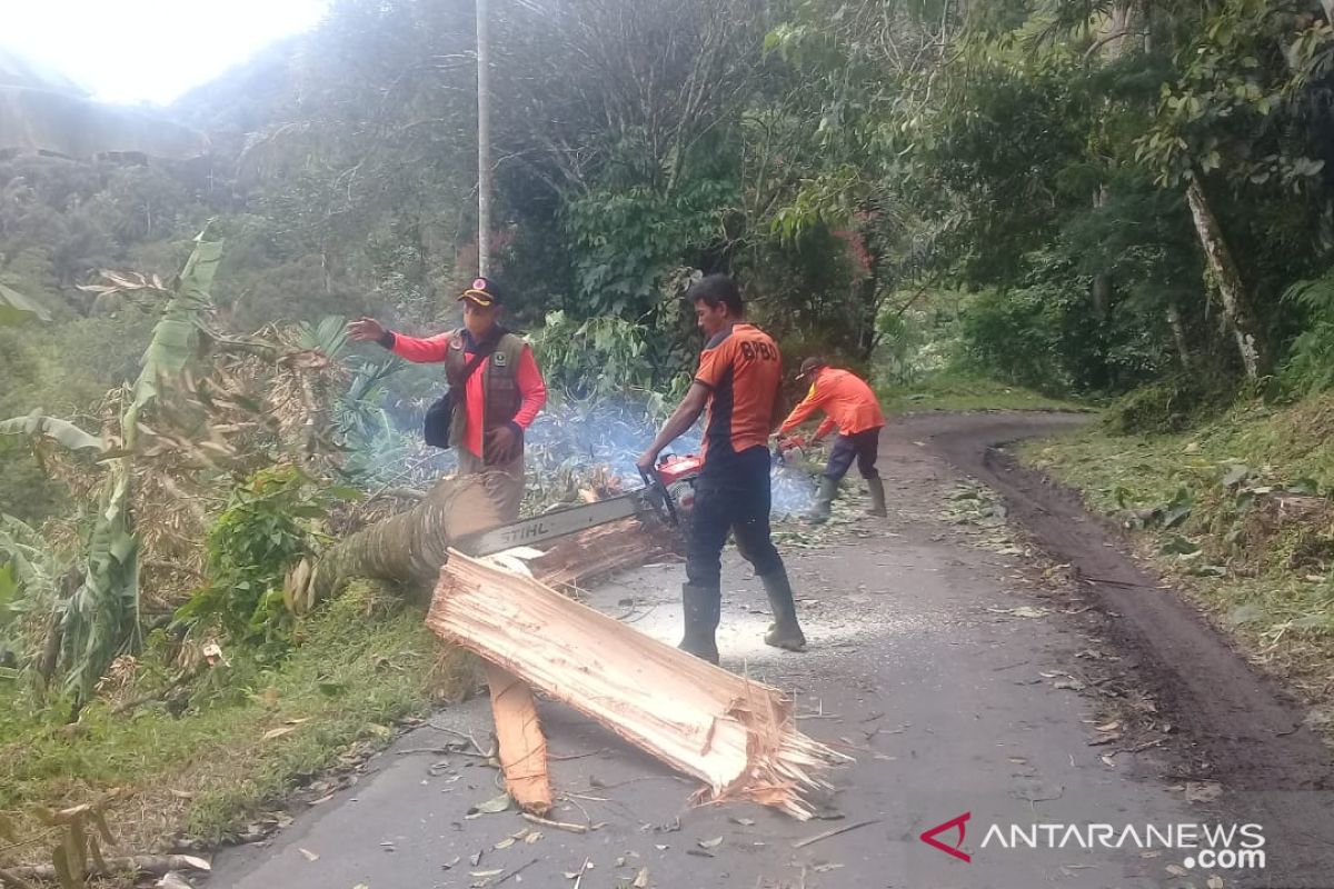 Ini yang diusulkan BPBD Agam kepada bupati terkait bencana angin kencang