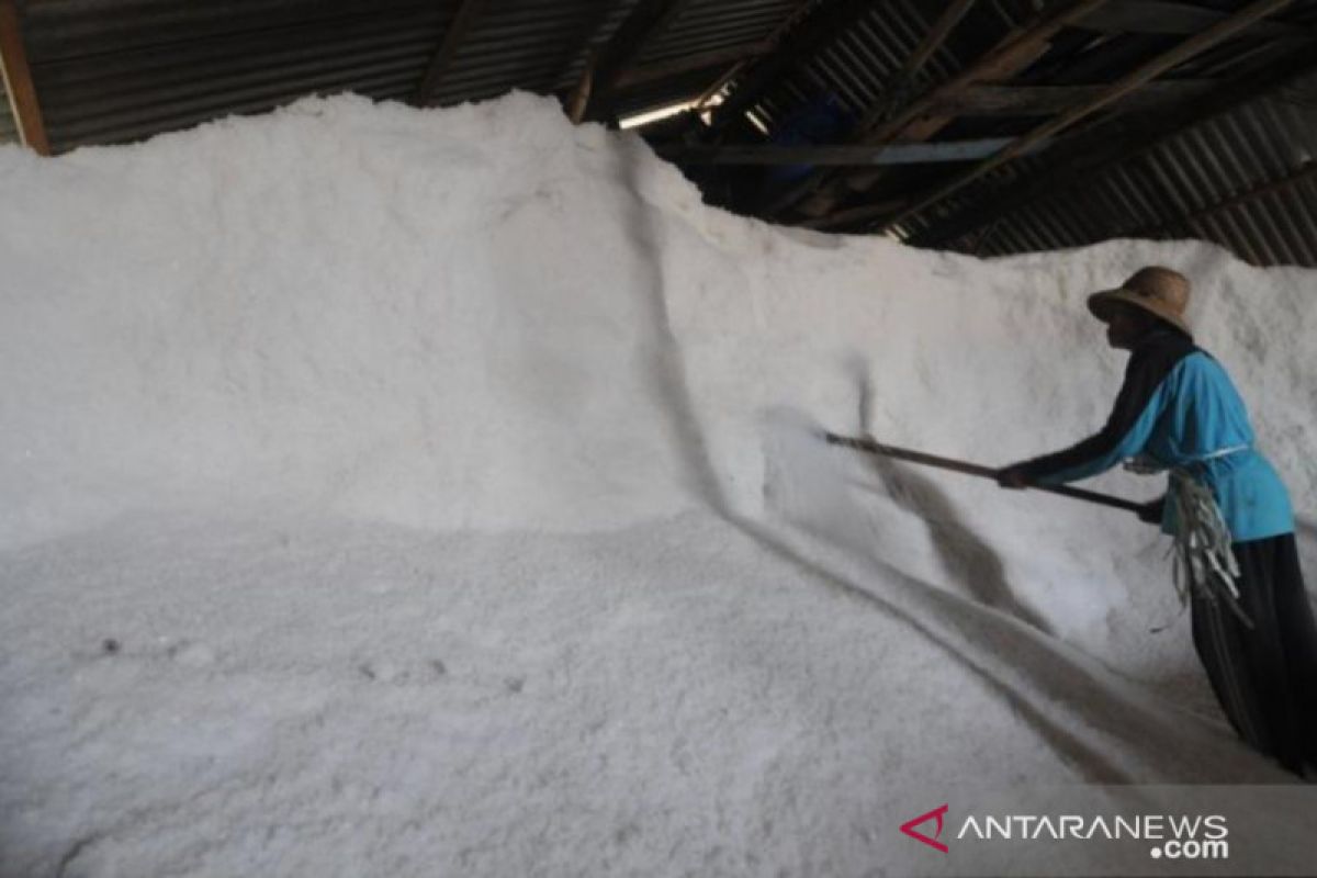 Tightly regulating salt imports: Industry Ministry