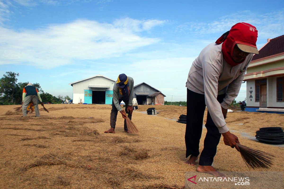 Pemkab Lamongan dorong harga gabah di tingkat petani sesuai HPP