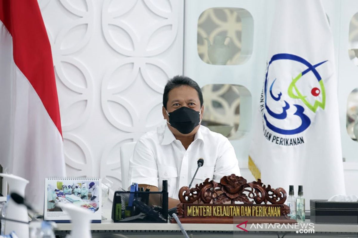 KKP targetkan Lumbung Ikan Nasional berkontribusi Rp3,71 triliun