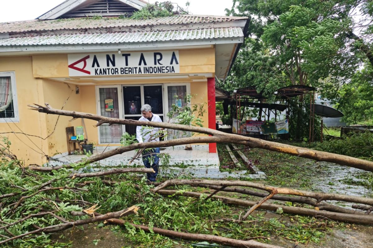 Kota Kupang hampir nyaris lumpuh, sejumlah ruas jalan tertutup pohon tumbang