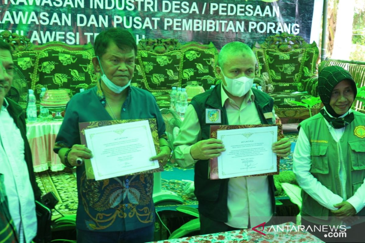 Donggala dicanangkan  jadi pusat pembibitan dan pengembangan porang