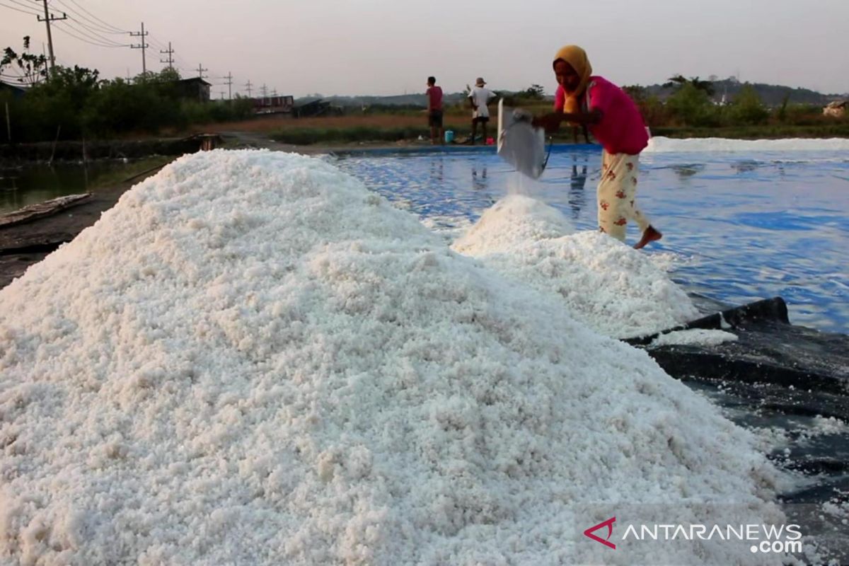 Jatim upayakan garam impor tidak untuk konsumsi