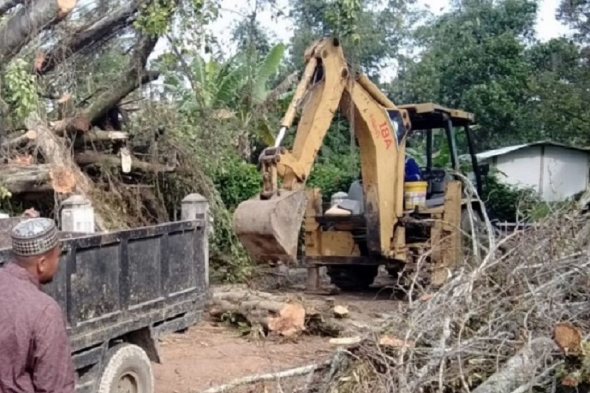 Warga bersihkan pohon yang  timpa area pemakaman tokoh Perang Paderi di Agam