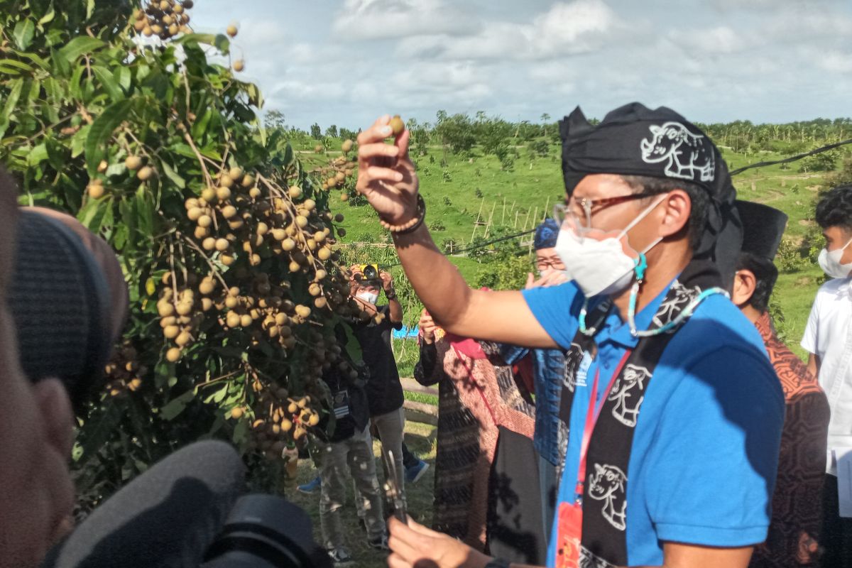 Menparekraf dorong pariwisata berbasis alam terbuka