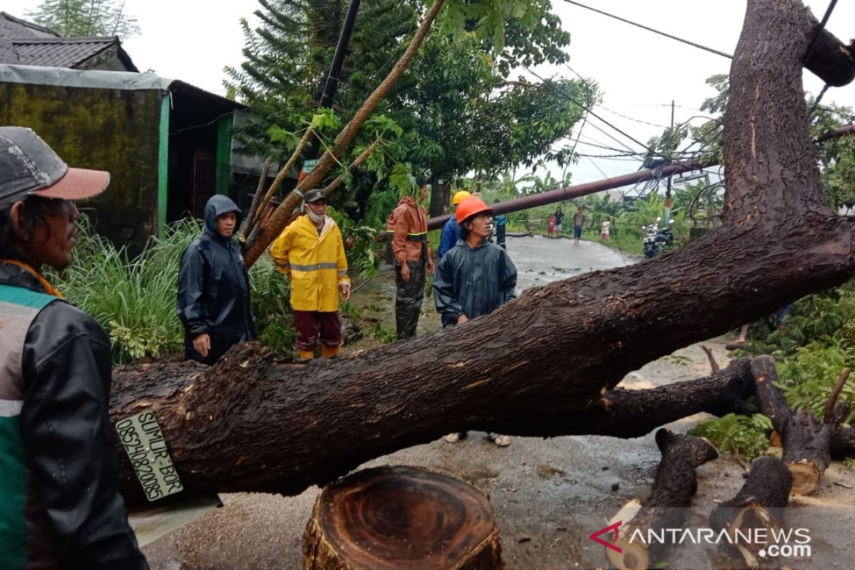 PLTU Jeneponto Sulsel terdampak cuaca ekstrem