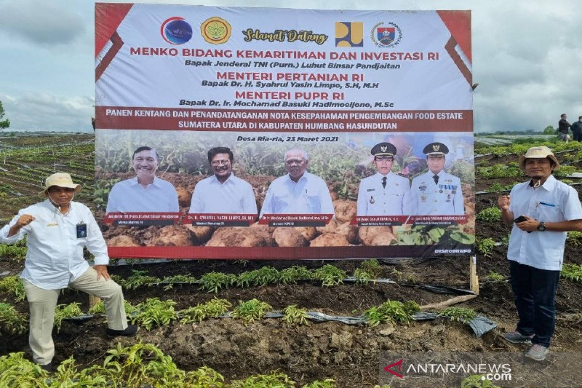 Bulog: 500 ton gula untuk Sumut masuk pekan depan