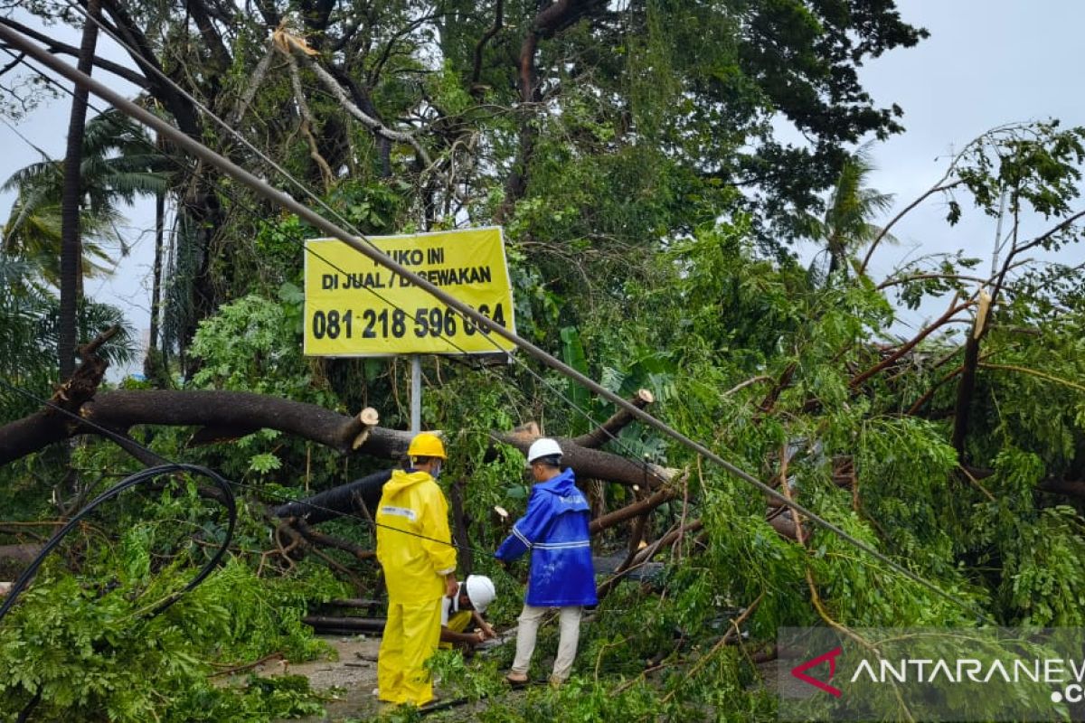 Baru 10 persen listrik rumah tangga di NTT pulih pasca-badai tropis