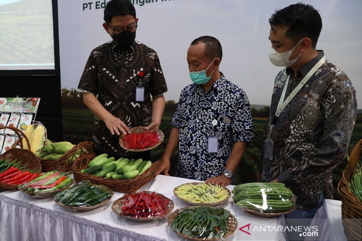 Eden Farm gandeng emiten perbenihan BISI tingkatkan kapasitas pasokan