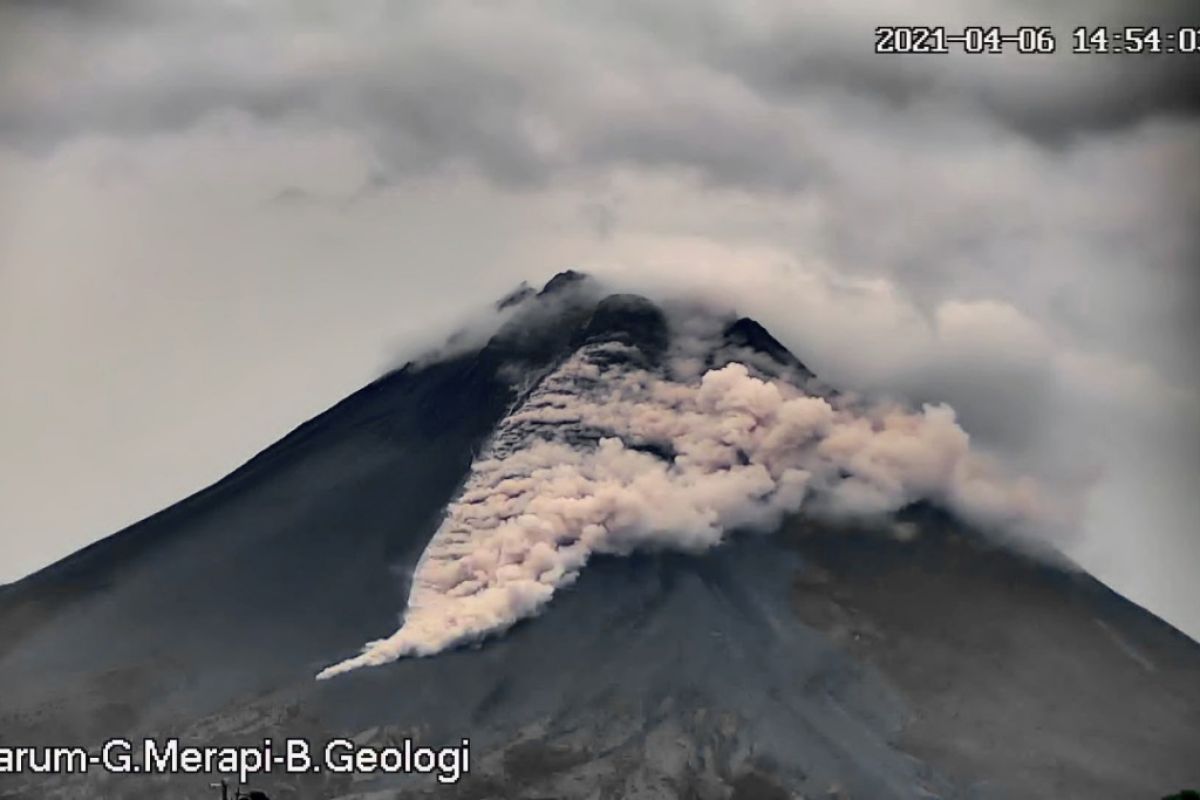 Awan panas guguran gunung Merapi muncrat sejauh 1,5 km