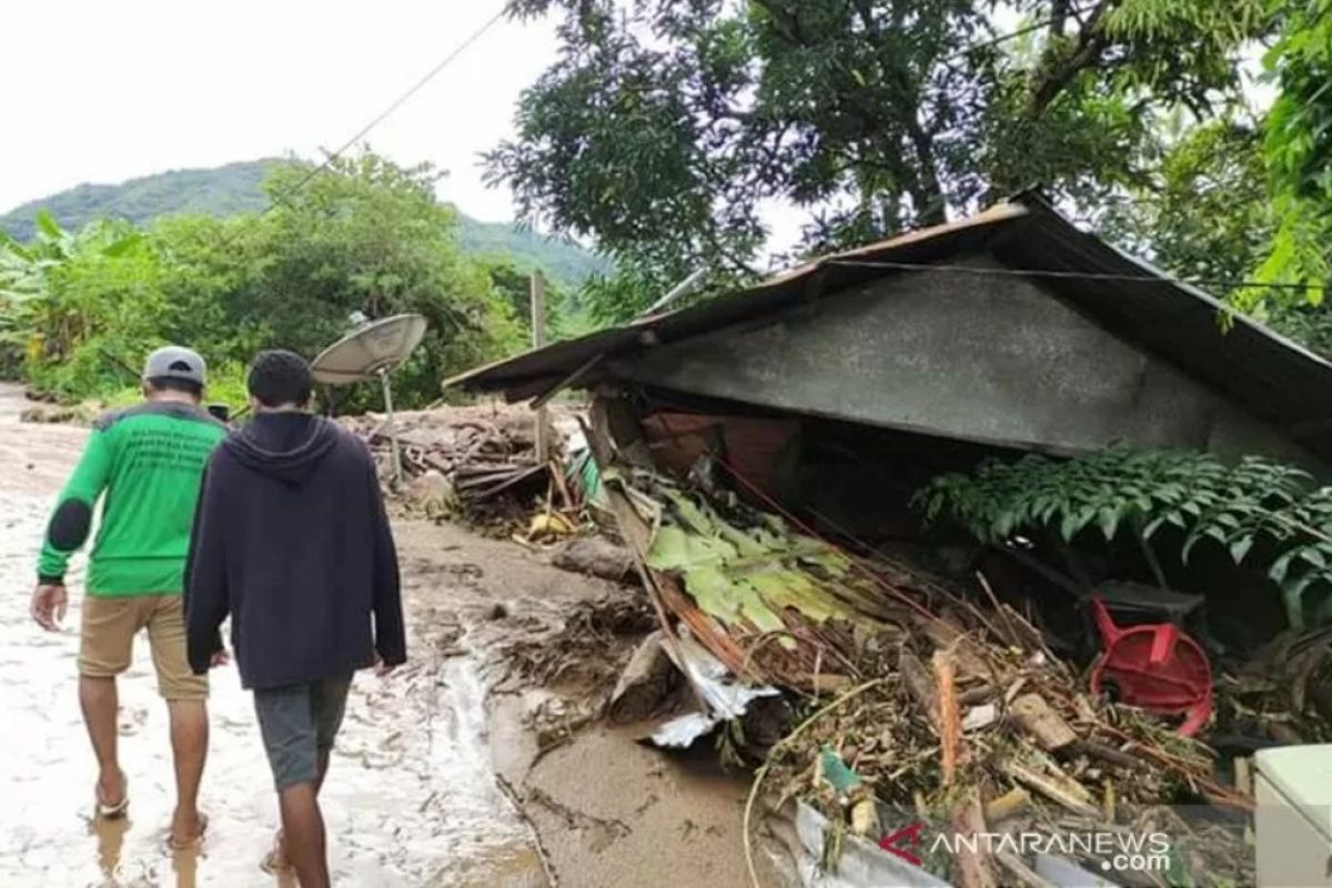 Pohon tumbang masih tutupi sejumlah jalan di Kupang