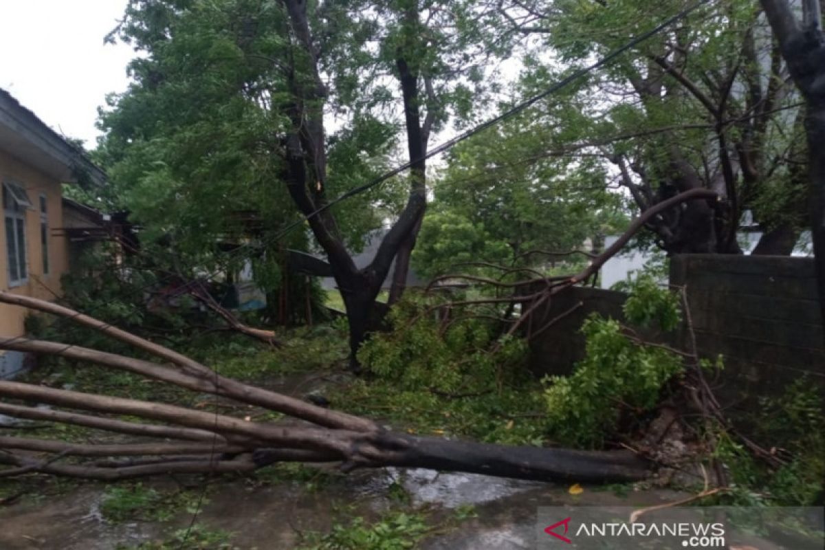 Ribuan rumah di Rote Ndao rusak akibat badai siklon tropis