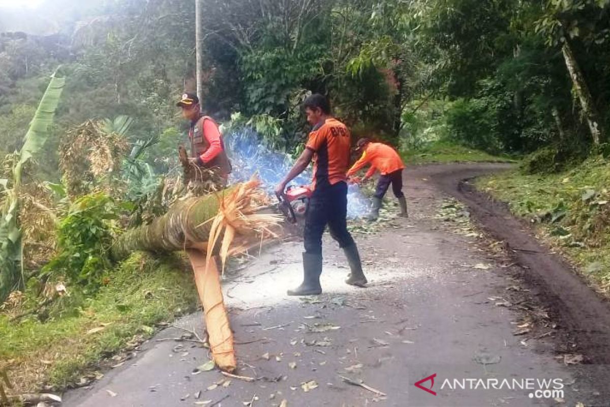 Lima hari, Agam dilanda 161 kejadian bencana alam