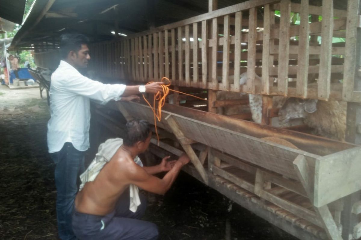 Anggota DPRA siap alokasikan anggaran peternakan kambing