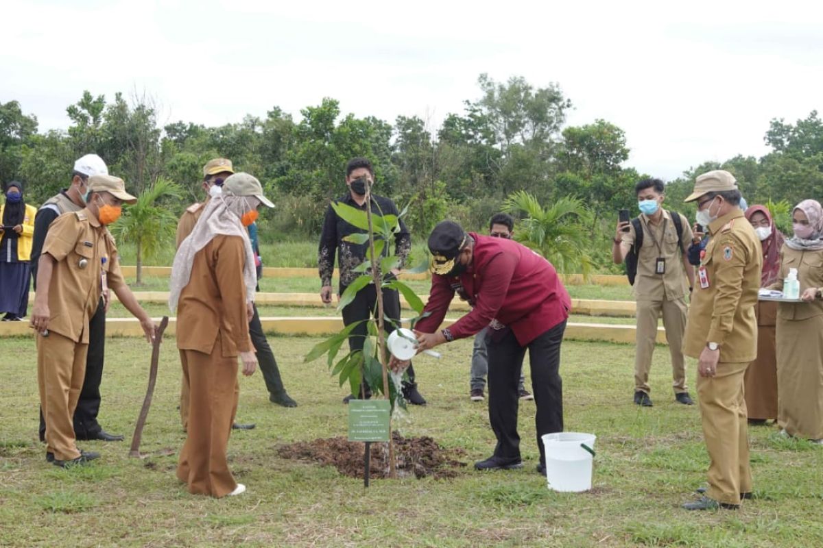 Penjabat Gubernur Kalsel  tanam pohon endemik