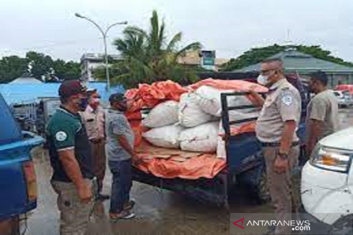 SKIPM Baubau tolak komoditas cacing laut tidak miliki dokumen