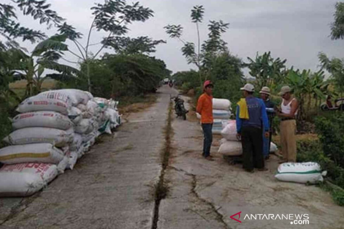 Harga gabah di di tingkat petani Bekasi anjlok akibat banjir