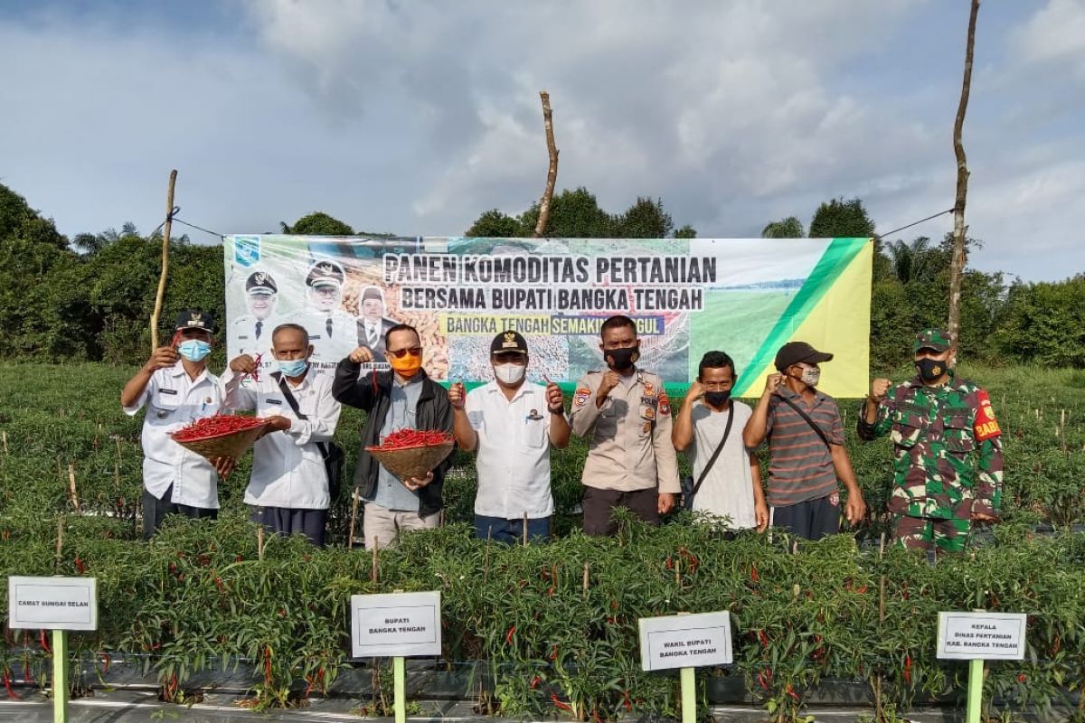 Pemkab Bangka Tengah kembangkan sistem pertanian digital