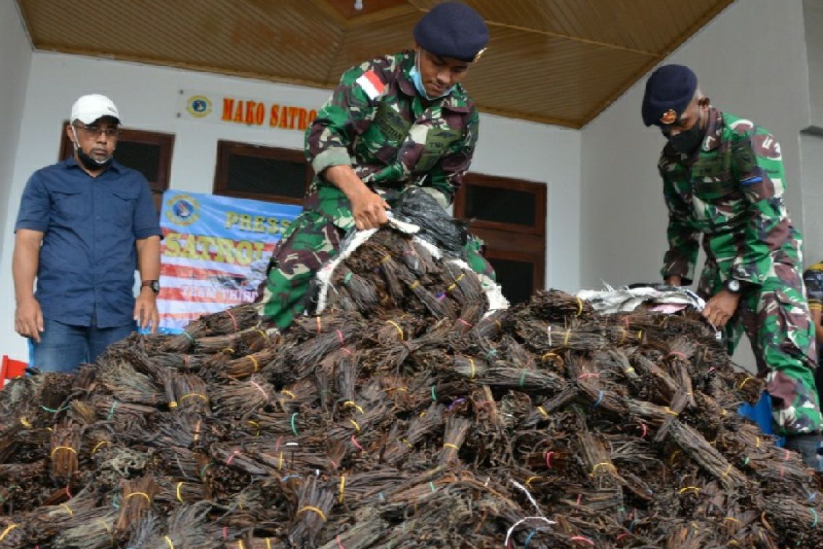 Patroli laut TNI AL gagalkan penyelundupan 984,6 kg vanili ilegal asal PNG