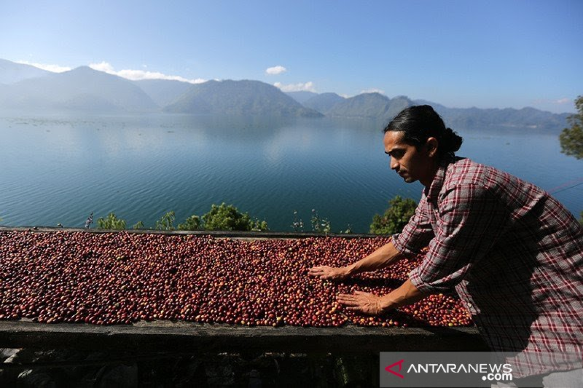 JKPI programkan Banda Aceh gelar festival kopi dunia