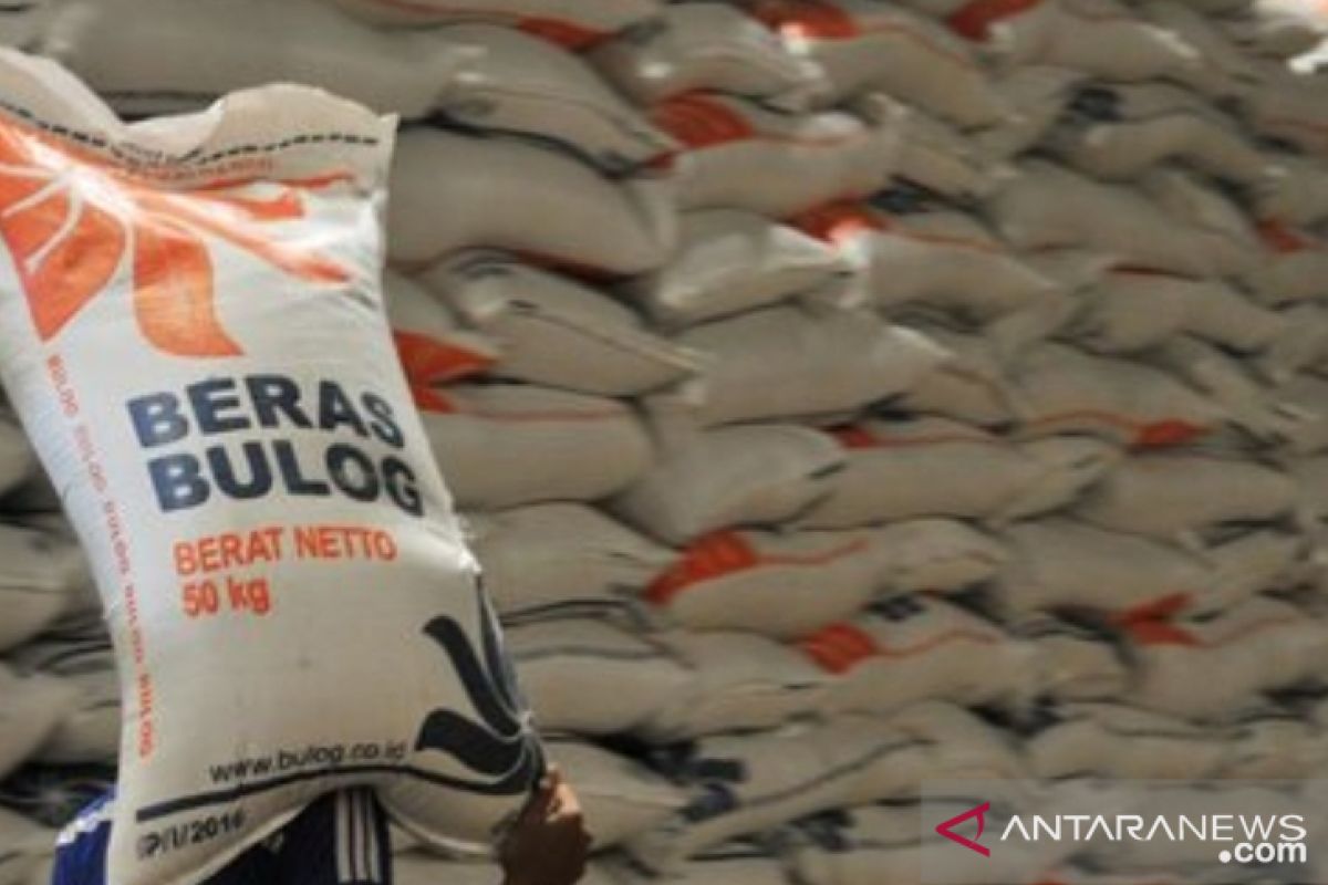 Bulog Sulutgo serap beras petani lokal 270 ton