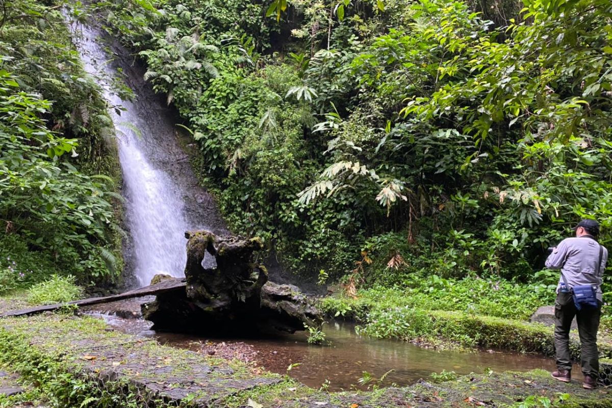 Menjaga habitat elang di Gede Pangrango