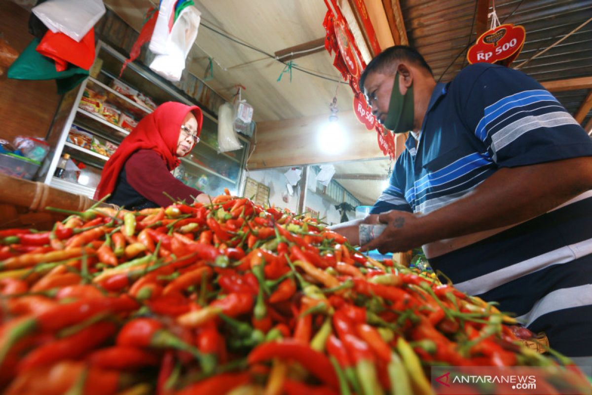 Kementan pastikan harga cabai segera turun