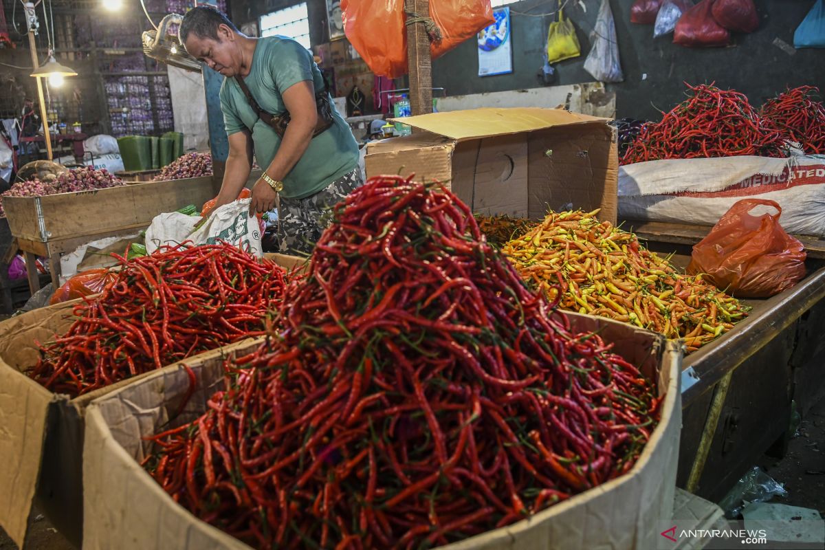 Harga cabai rawit merah naik cukup tinggi