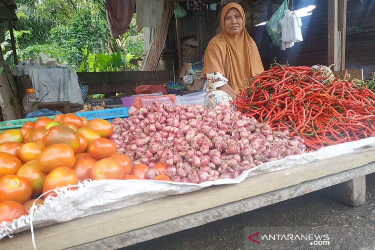 Harga cabai di Subulussalam merangkak naik