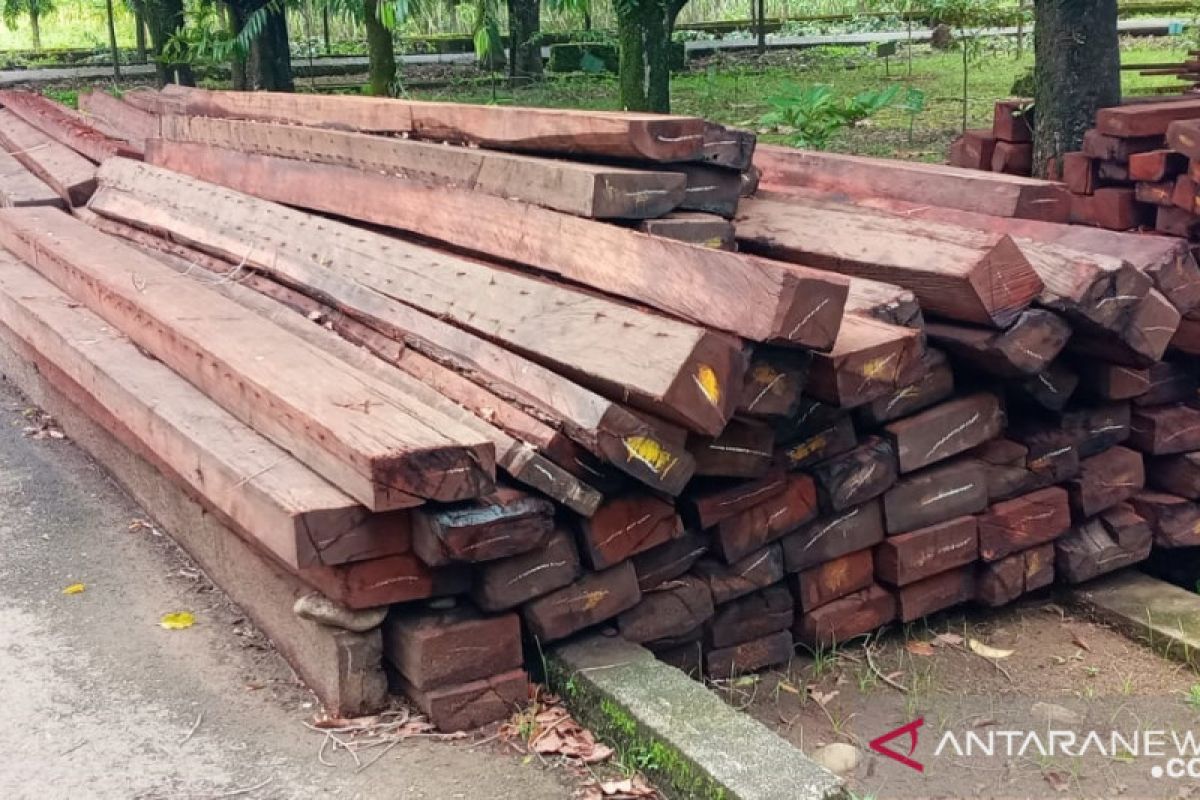 Gakkum KLHK Sulawesi tetapkan dua tersangka kasus kayu ilegal