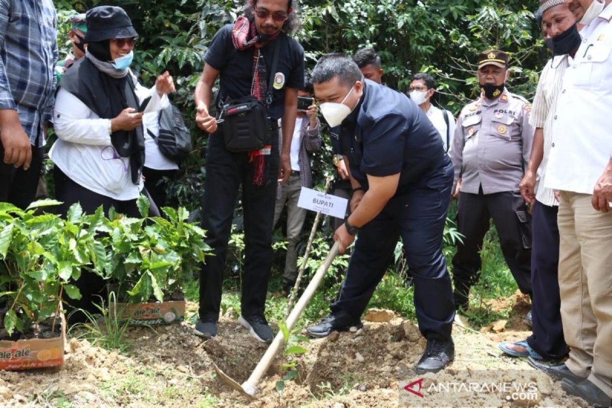 Desa Paranjulu Sipirok menuju agrowisata kopi