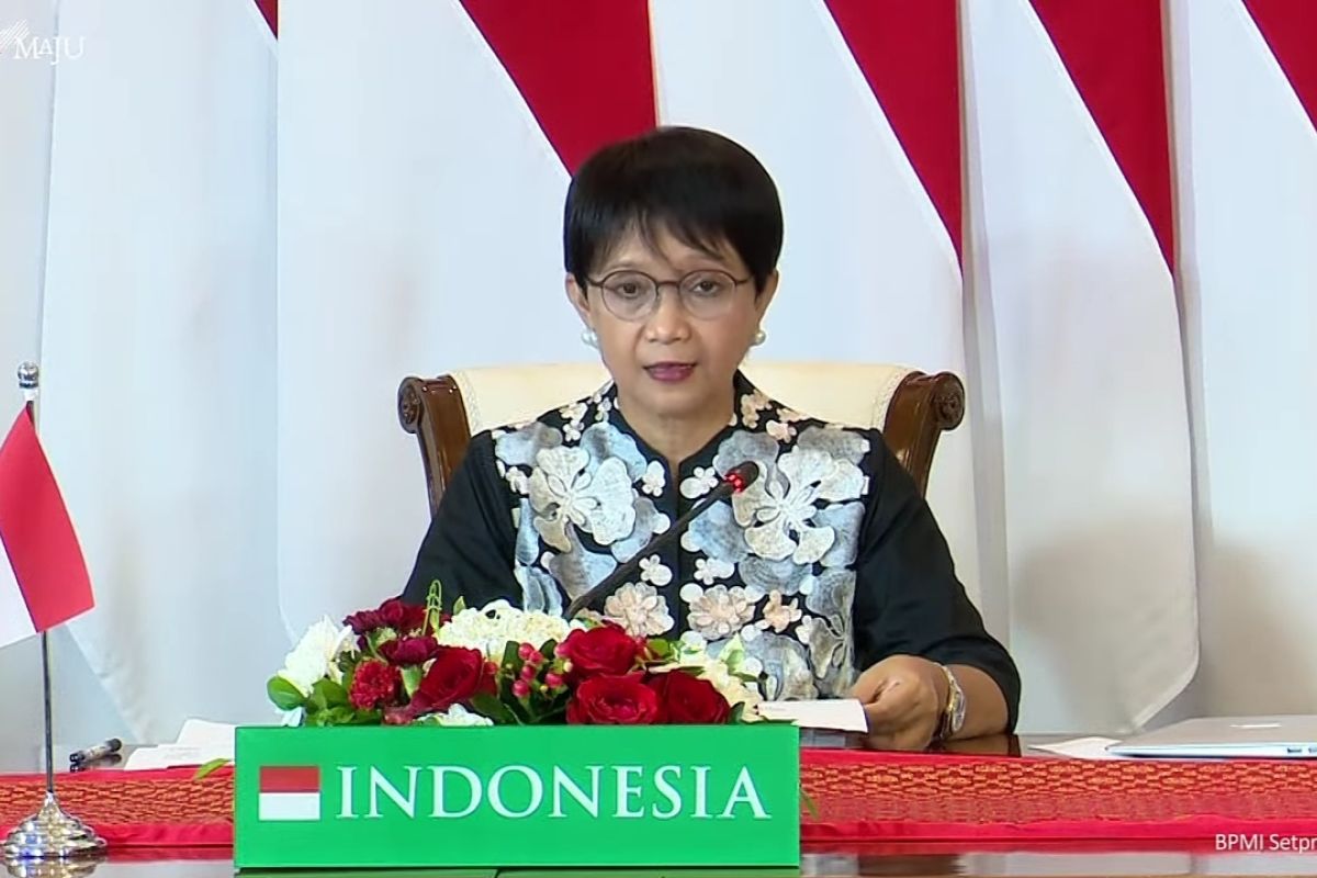 Menlu: Presiden Jokowi sampaikan tiga hal utama dalam KTT D-8