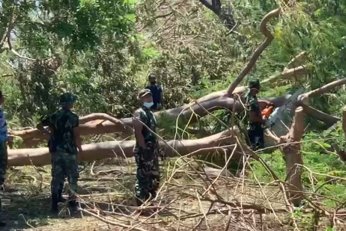 TNI-Polri bantu PLN pulihkan kelistrikan yang rusak akibat badai