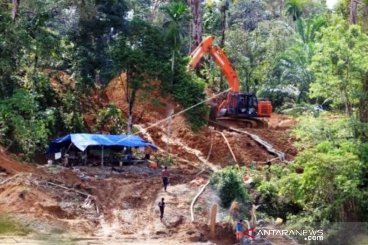 Walhi: Penambangan emas ilegal dibiarkan aparat