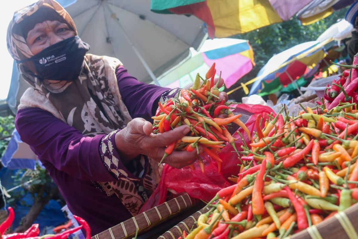 Stok cabai di Mataram mencapai satu ton