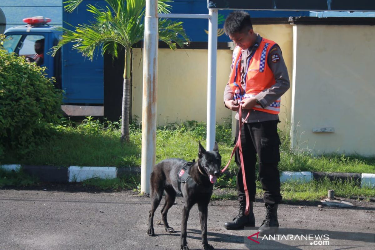 Anjing pelacak dukung pencarian korban bencana  Adonara dan Lembata