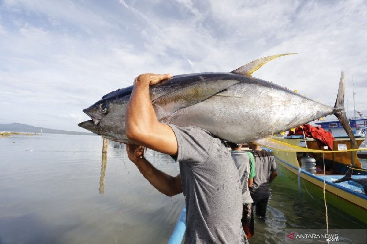 Tim SAR cari nelayan hilang kontak di Pulau Buru, begini kronologinya