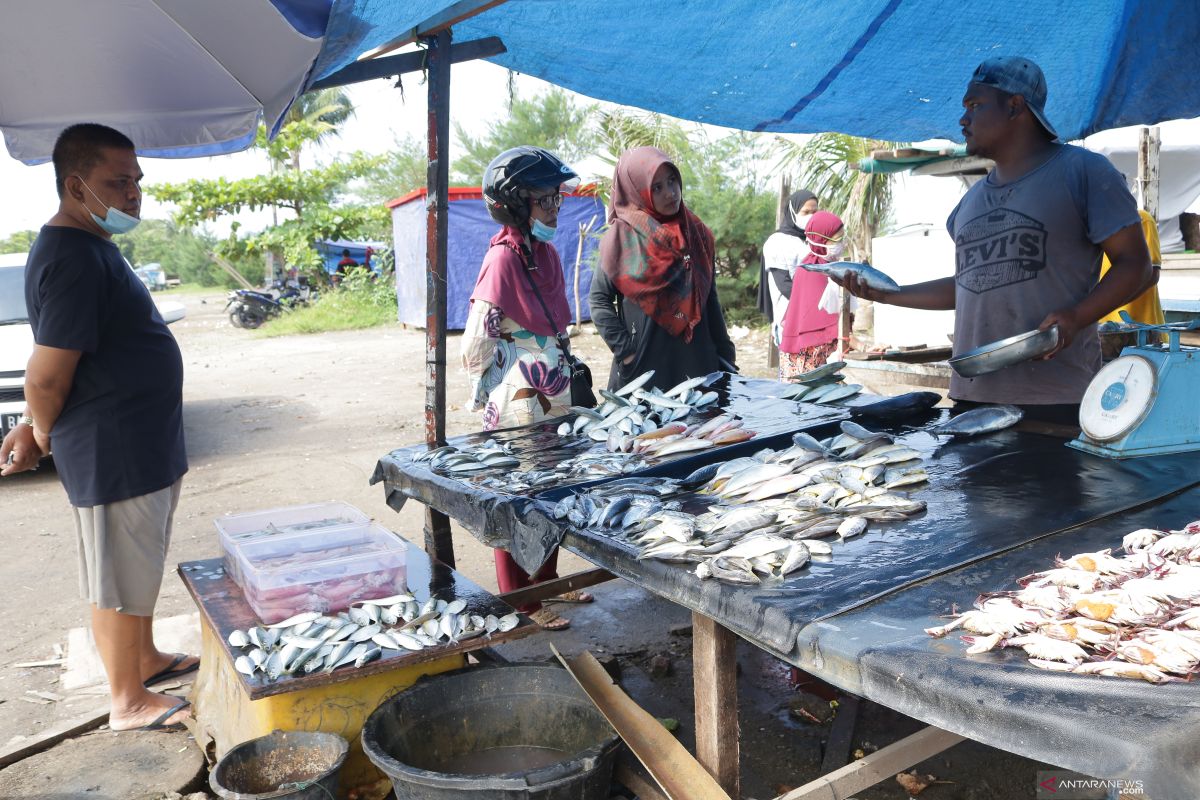 Harga Ikan di Pantai Padang Naik Jelang Ramadan (Video)