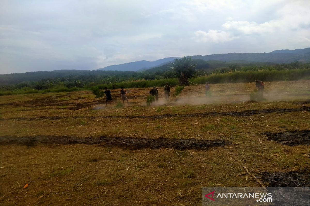 Petani Aceh Tenggara diamankan atas dugaan pembakaran lahan