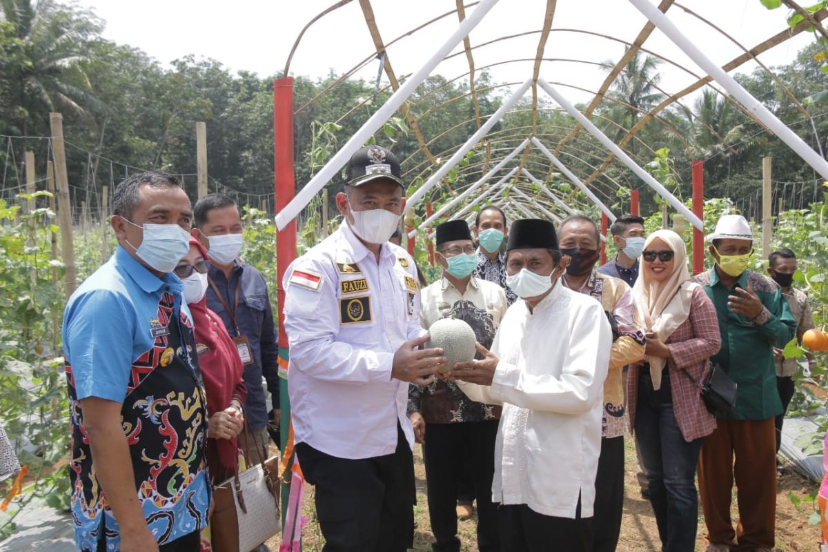 Wabup Pringsewu resmikan kebun buah melon