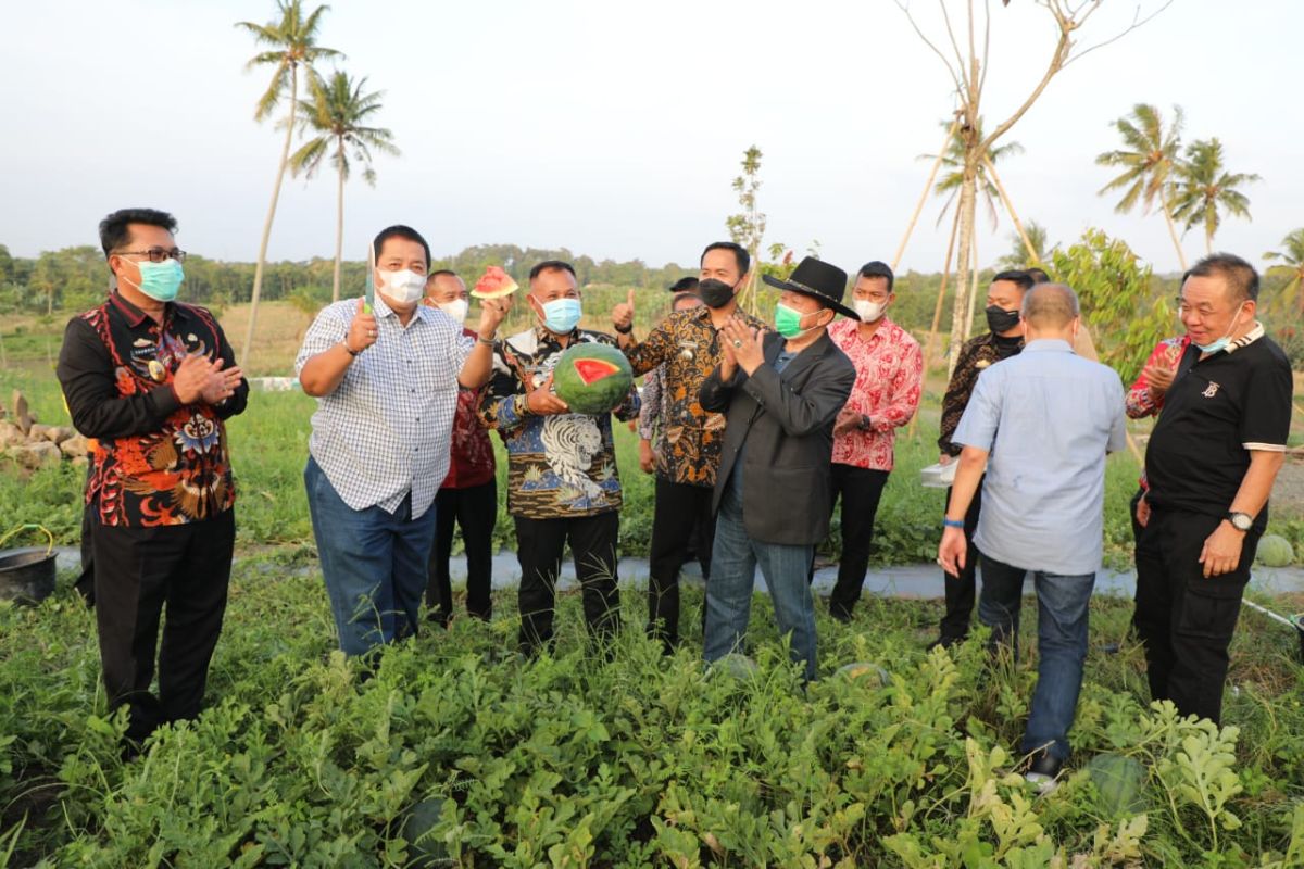 Gubernur apresiasi kebun edukasi Lampung Selatan