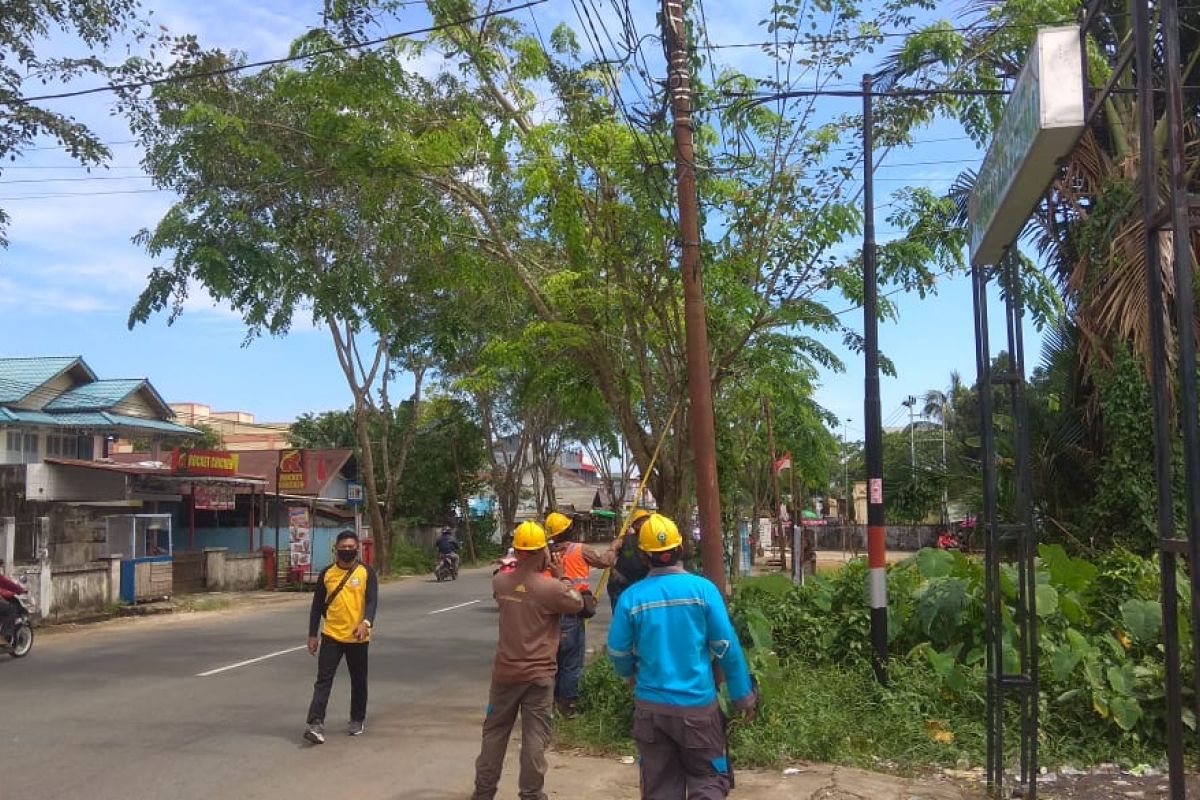 PLN dan Pemkot Pontianak pangkas pohon cegah potensi gangguan listrik