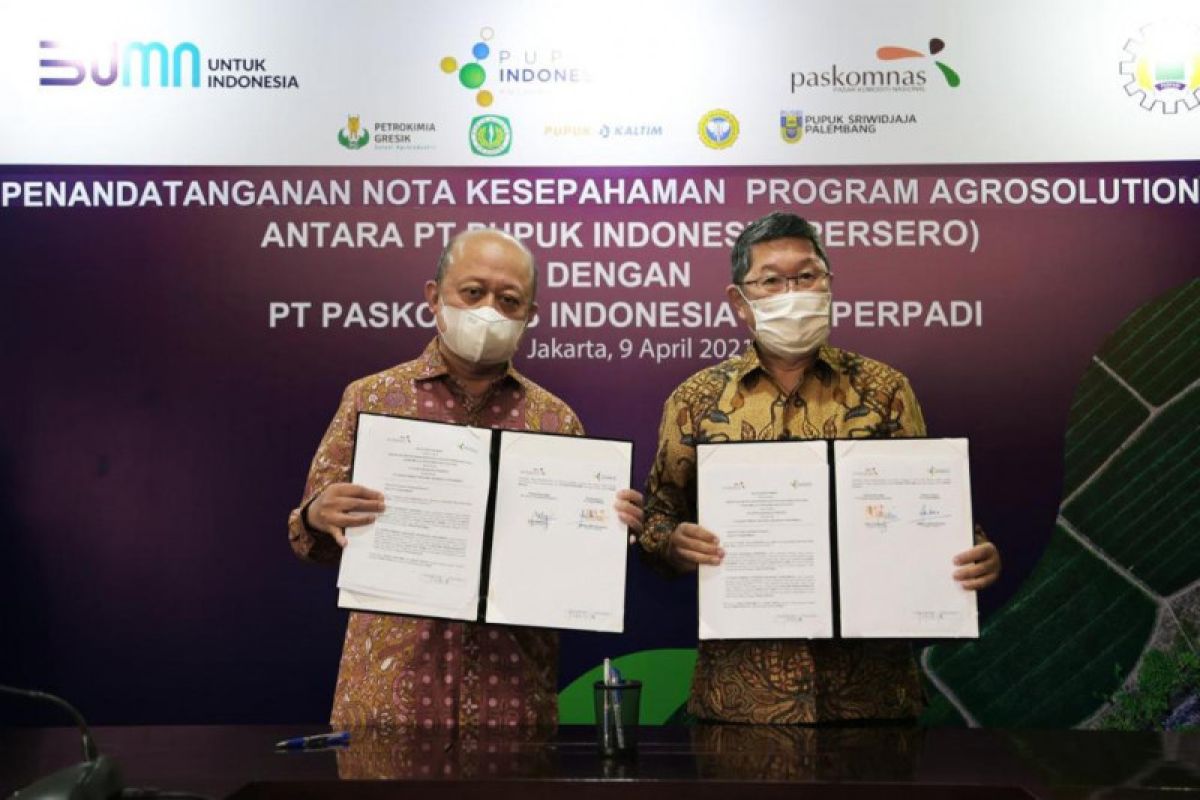 Pupuk Indonesia gandeng Perpadi-Paskomnas untuk program Agro Solution