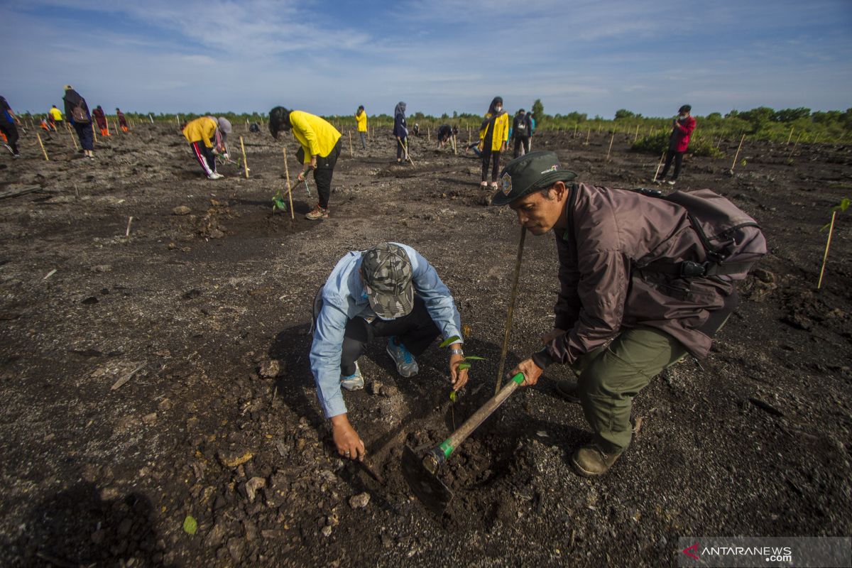 South Kalimantan plants one million trees in all districts and cities