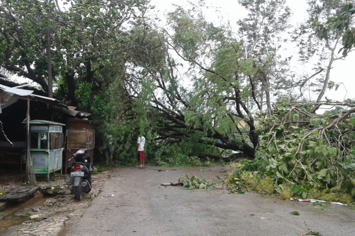 Bencana alam menyebabkan penurunan kualitas layanan Telkomsel di NTT